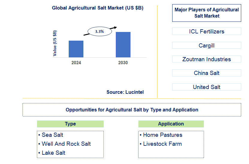 Agricultural Salt Trends and Forecast